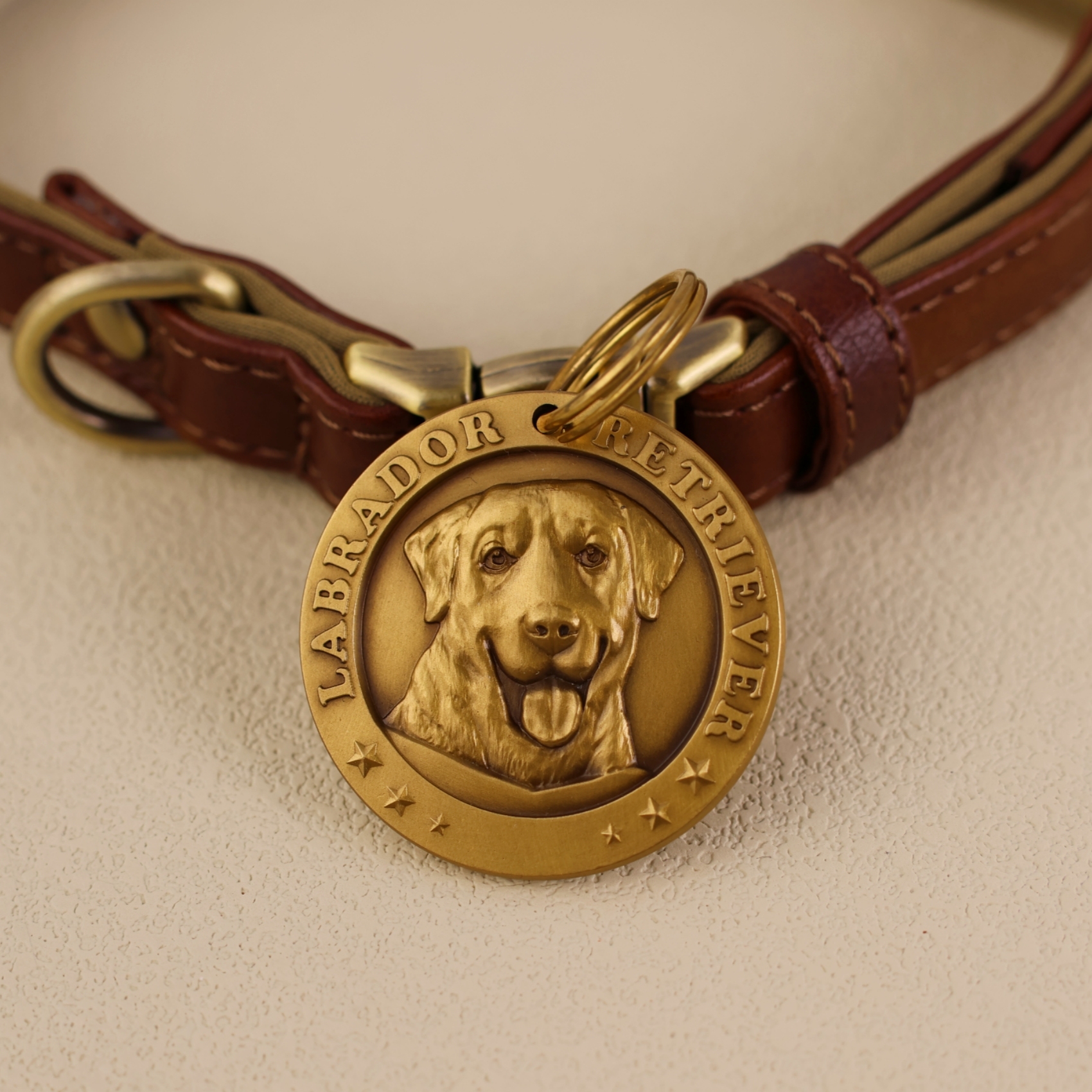 Labrador Retriever 3