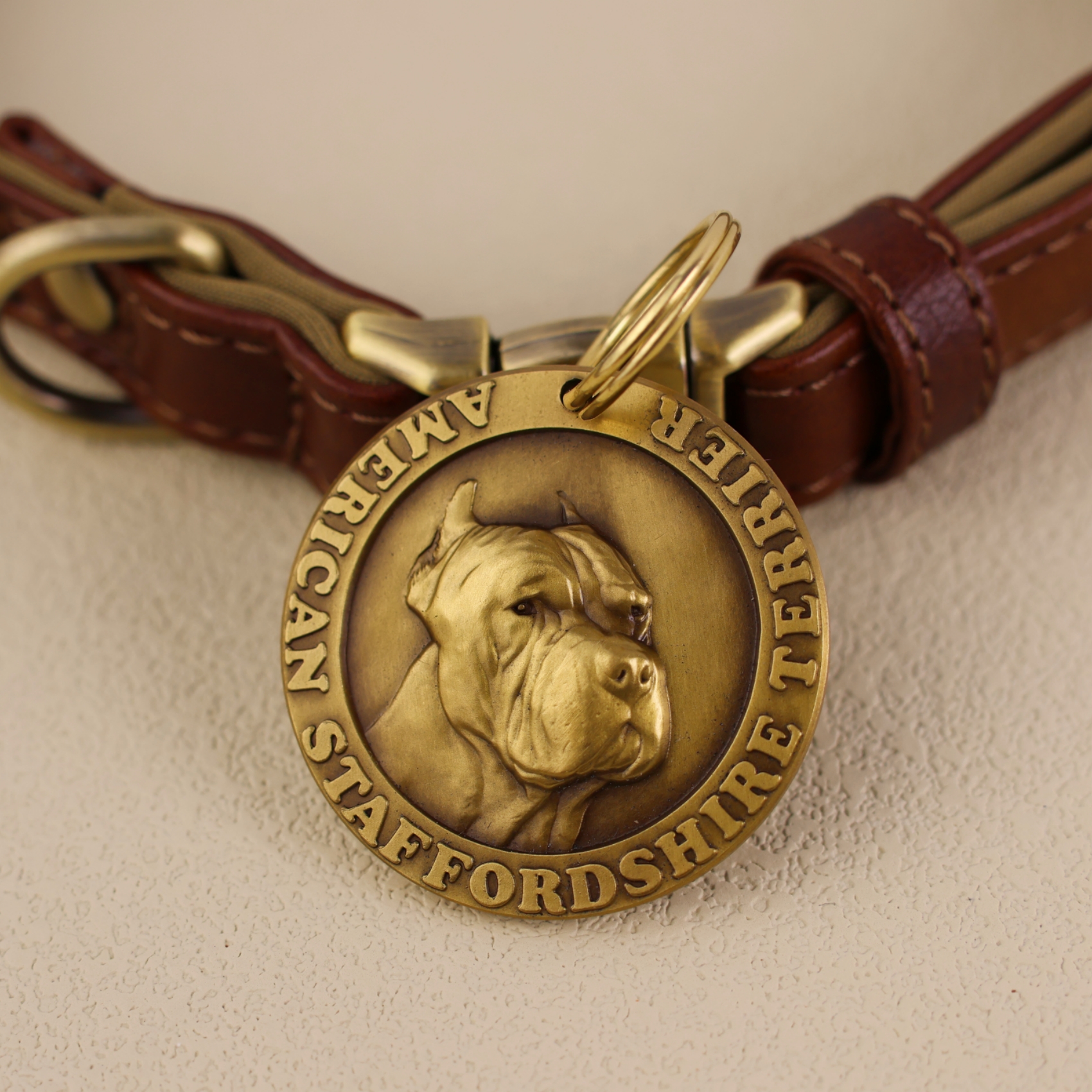 American staffordshire terrier