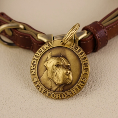 American staffordshire terrier