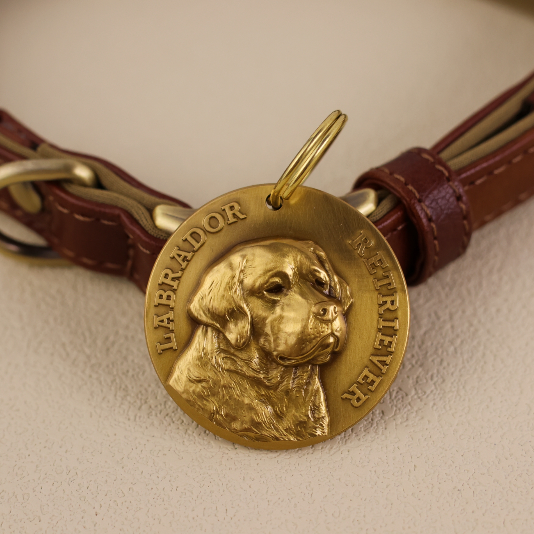 Labrador Retriever 2