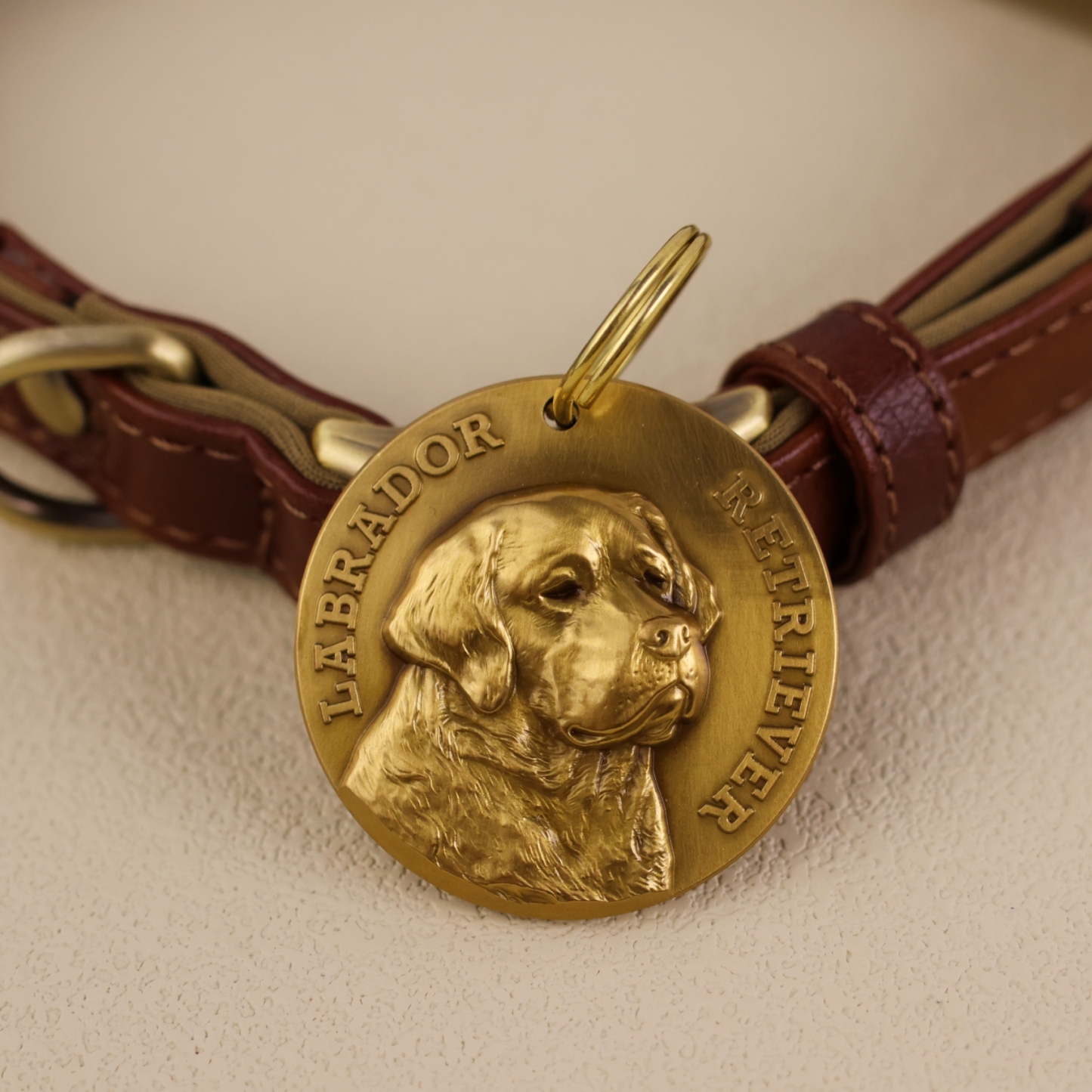 Labrador Retriever 2