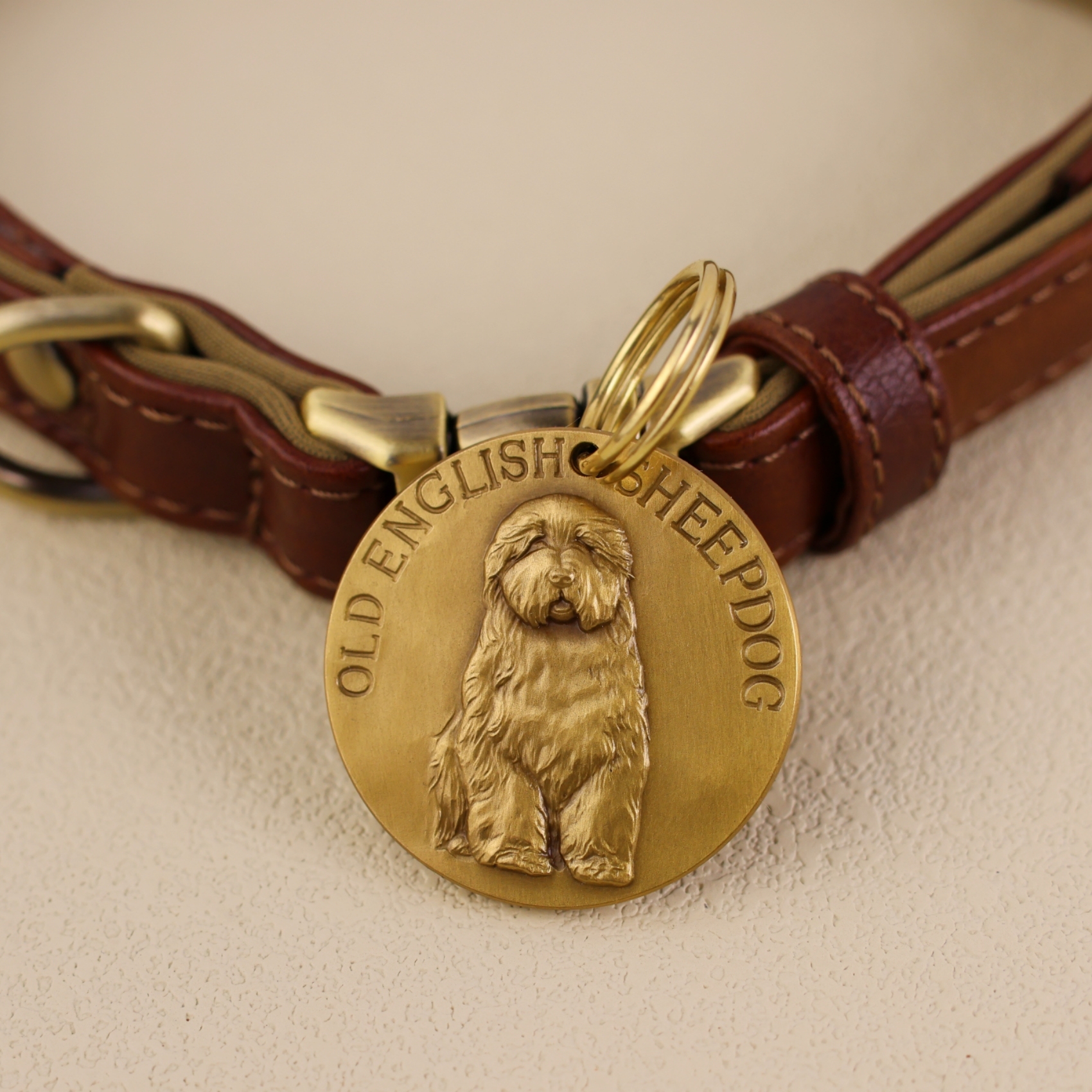 Old Englisn Sheepdog