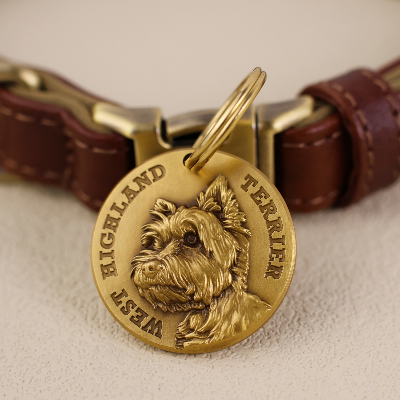 West Highland Terrier