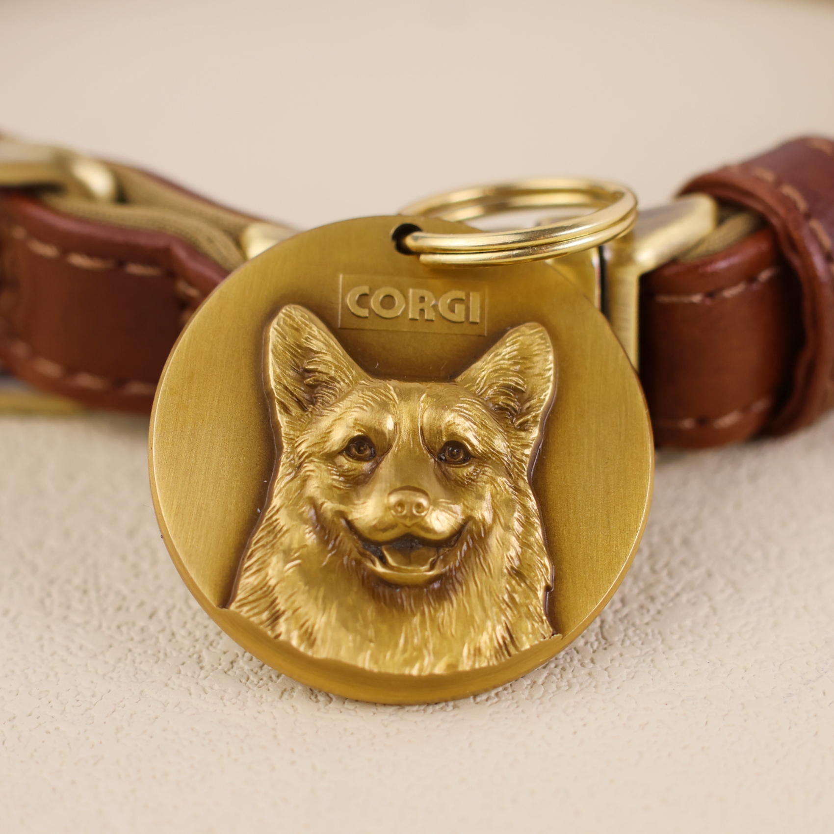 Pembroke Welsh Corgi 2