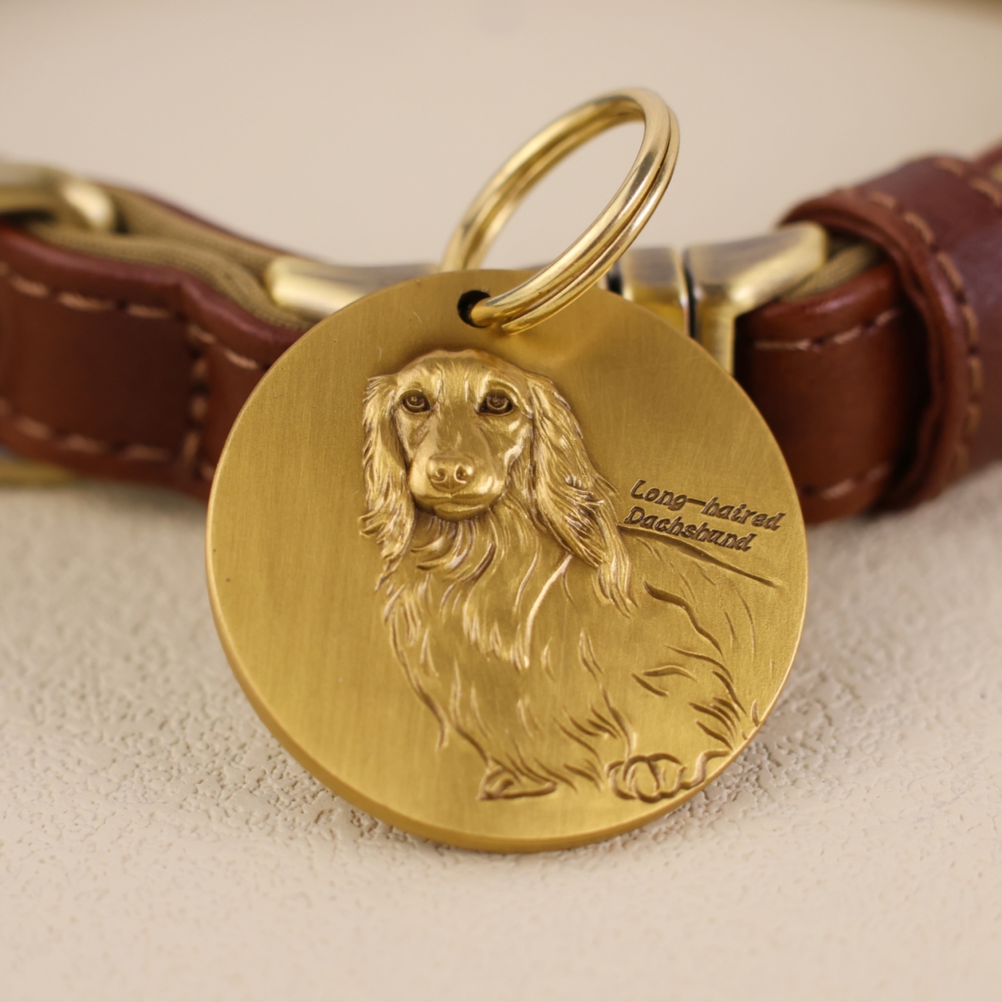 Longhaired Dachshund