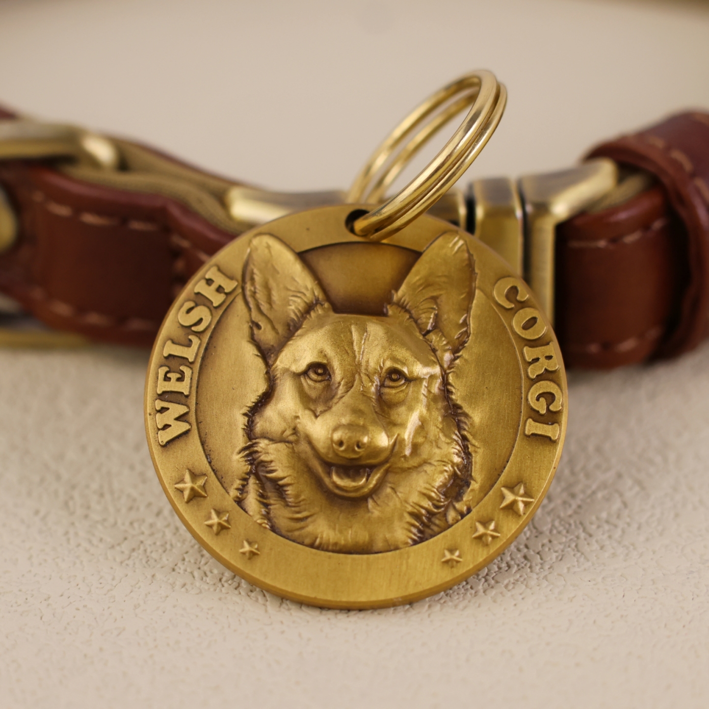 Pembroke Welsh Corgi 1