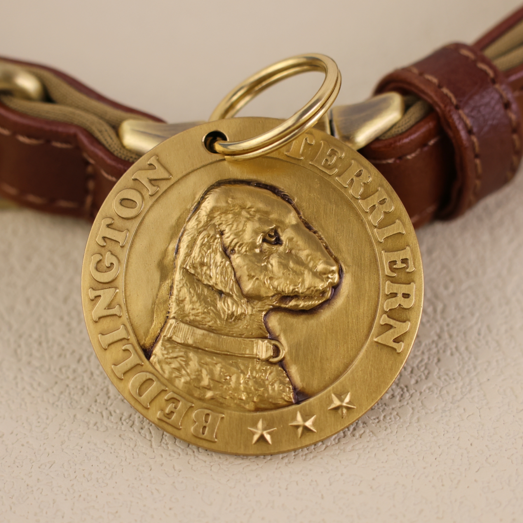 Bedlington Terrier 1