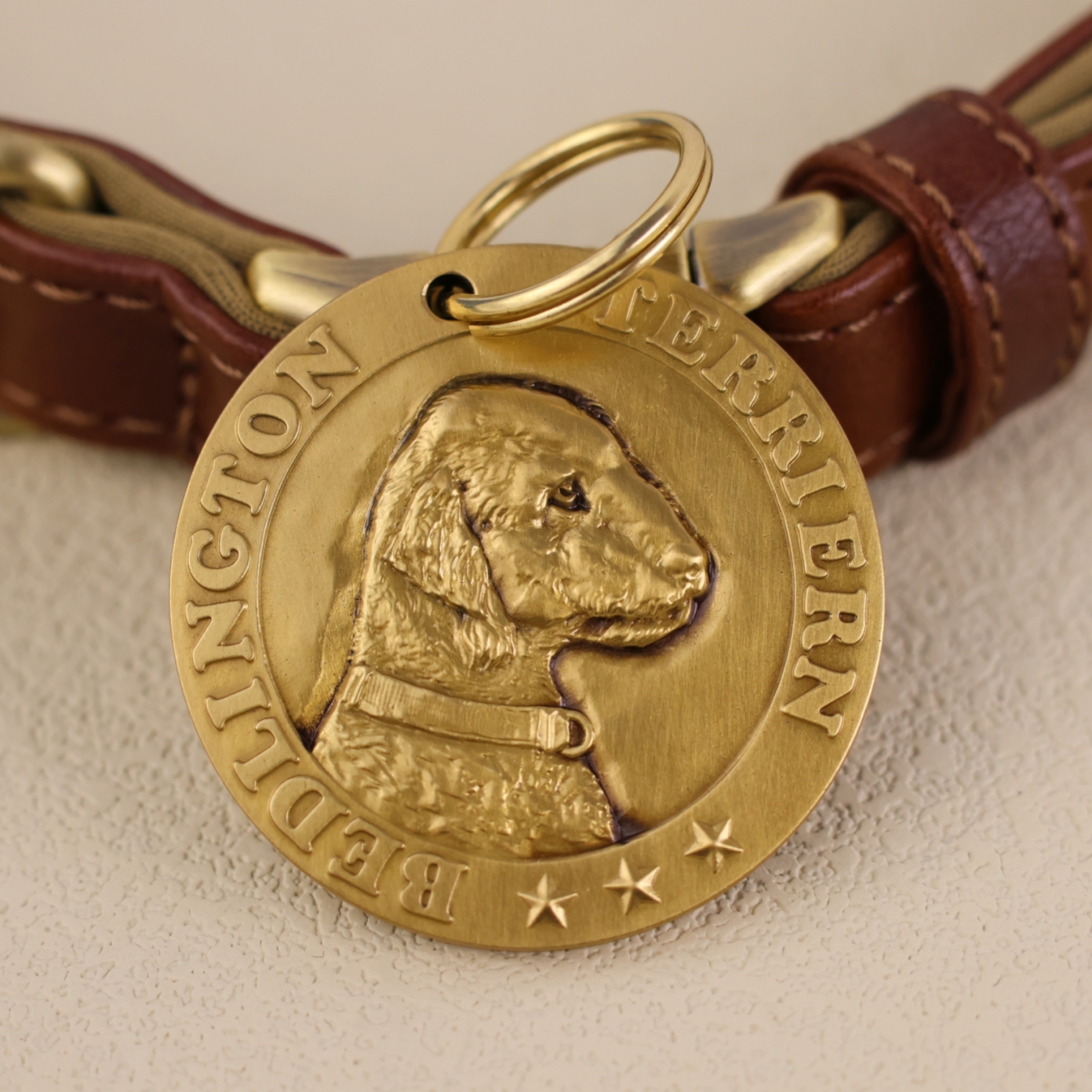 Bedlington Terrier 1