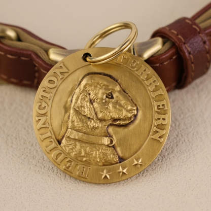 Bedlington Terrier 1