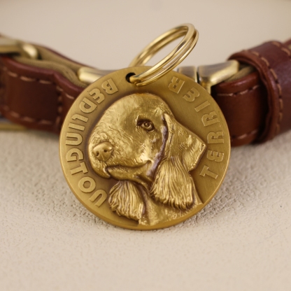 Bedlington Terrier 2