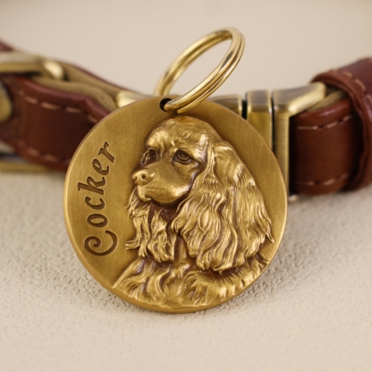 American Cocker Spaniel