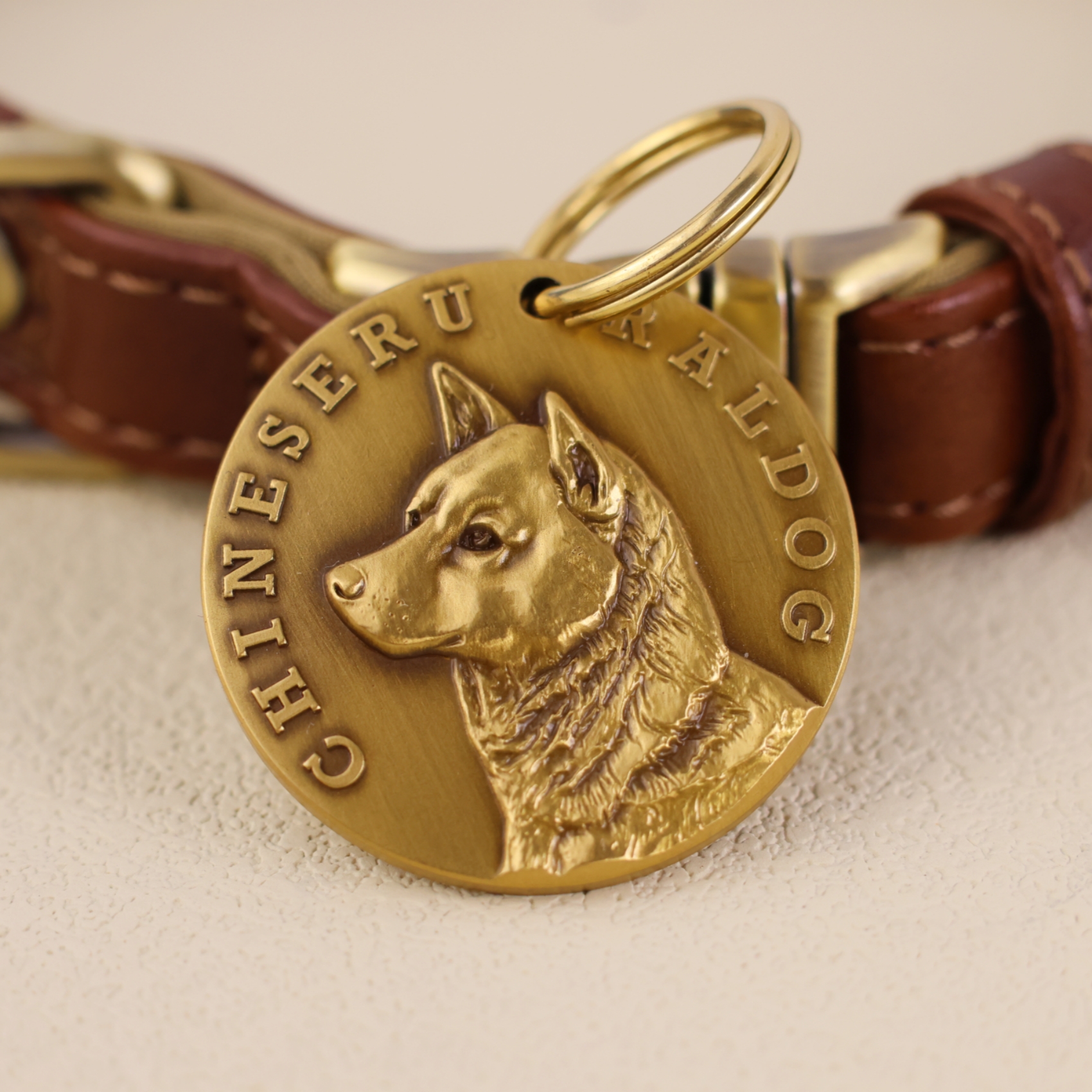 Chinese Village Dogs