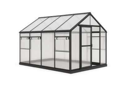 Serra da giardino in alluminio e policarbonato 300x250x200 cm