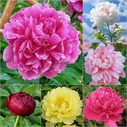 Unlock Your True Potential