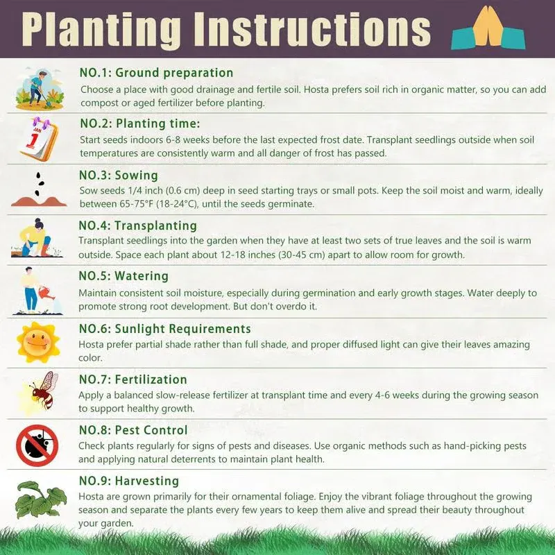 🌱 Exotic Rare Leaf Seeds 🏡 Transform Your Garden into a Masterpiece