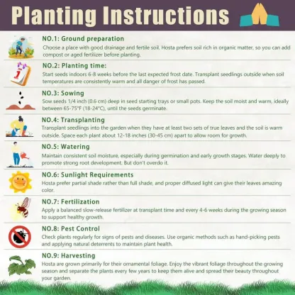 🌱 Exotic Rare Leaf Seeds 🏡 Transform Your Garden into a Masterpiece