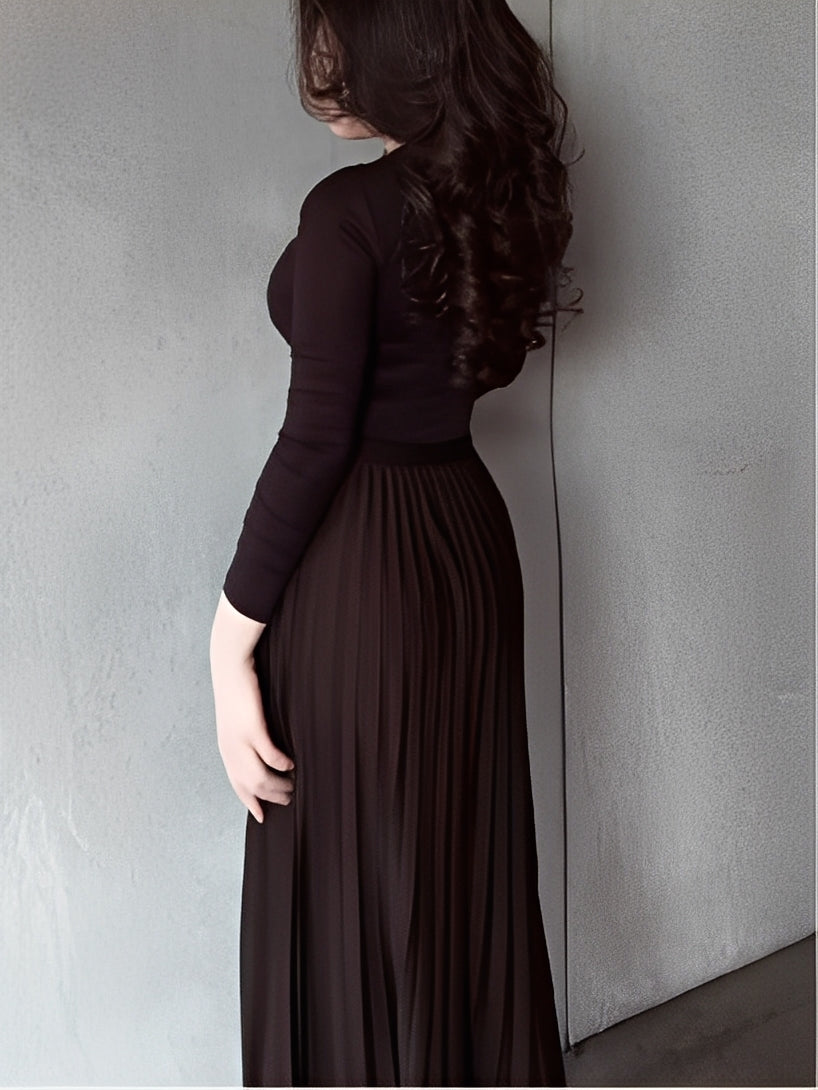 Brown long-sleeved top and pleated skirt set-thevervian
