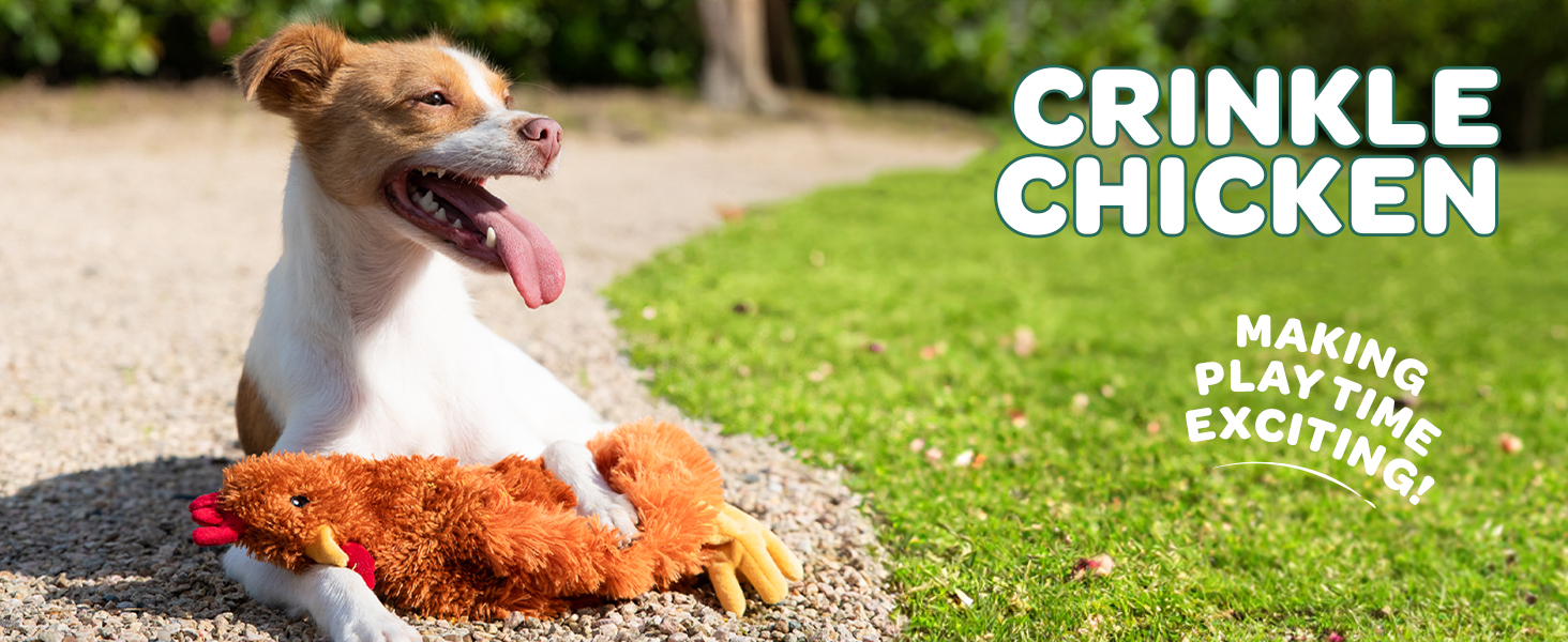 Crinkle chicken dog toy