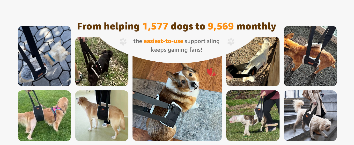 Adjustable Dog Lift Harness Dog Sling for Large Dogs Hind Leg Support Soft Lift Support