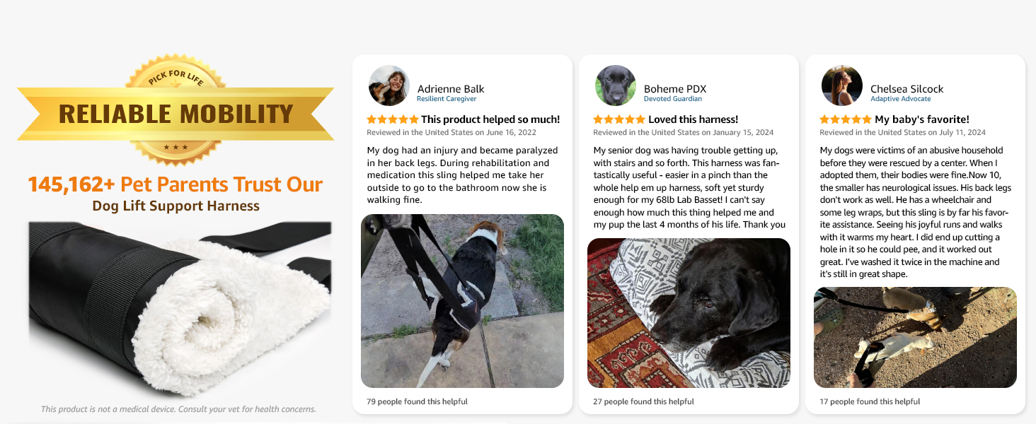 Adjustable Dog Lift Harness Dog Sling for Large Dogs Hind Leg Support Soft Lift Support