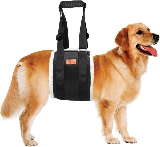 Adjustable Harness Dog Sling 