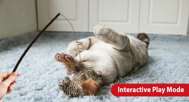 interactive cat toys electronic