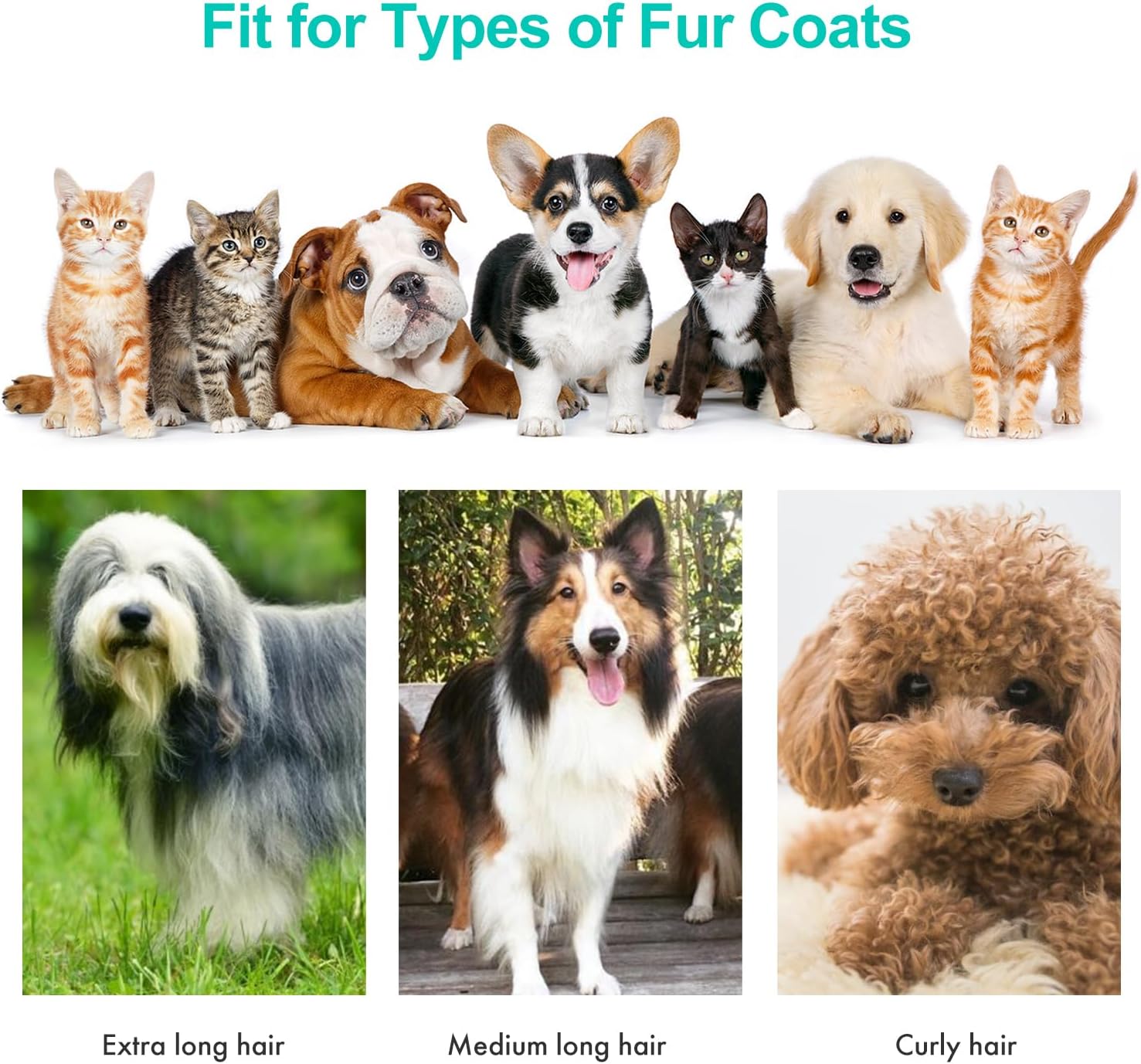 Pet Grooming Tools Kit