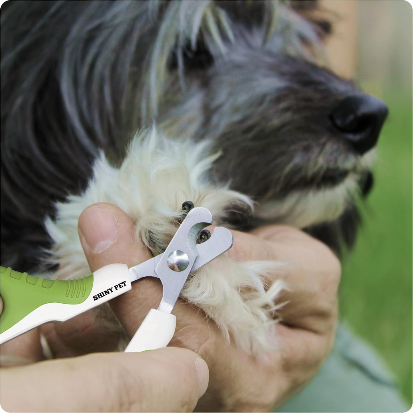 Pet Nail Clippers