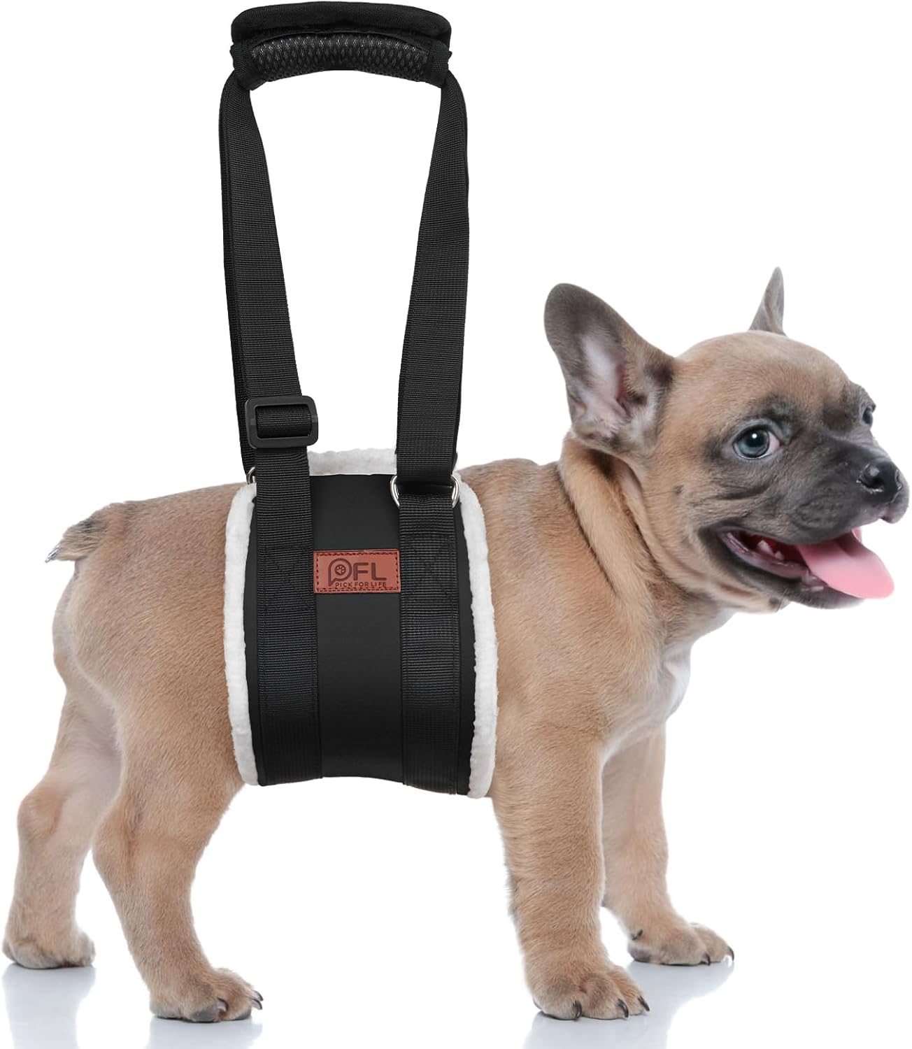 Adjustable Harness Dog Sling 