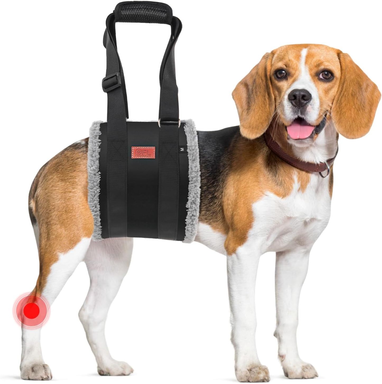 Adjustable Harness Dog Sling 