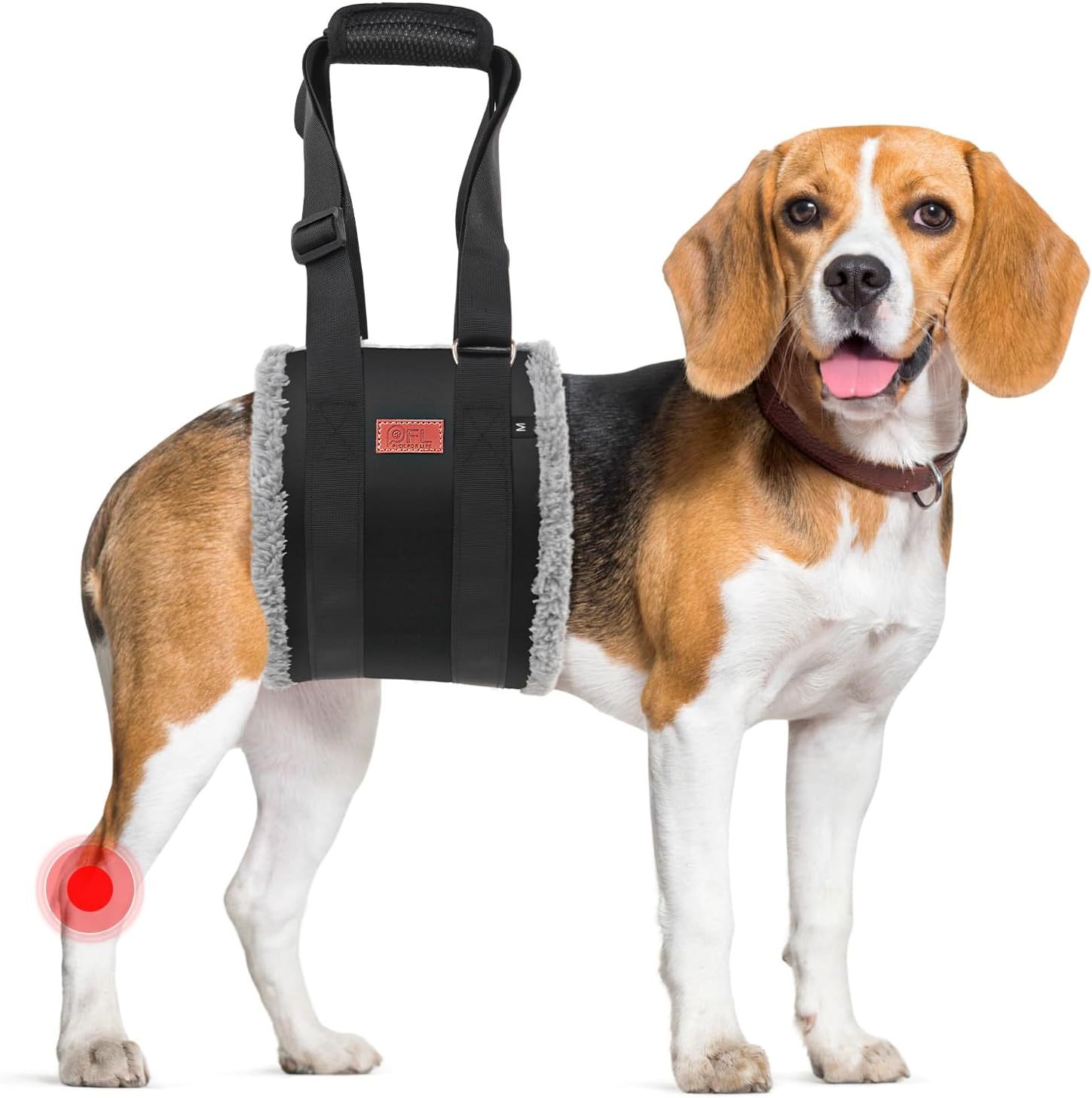 Adjustable Harness Dog Sling 