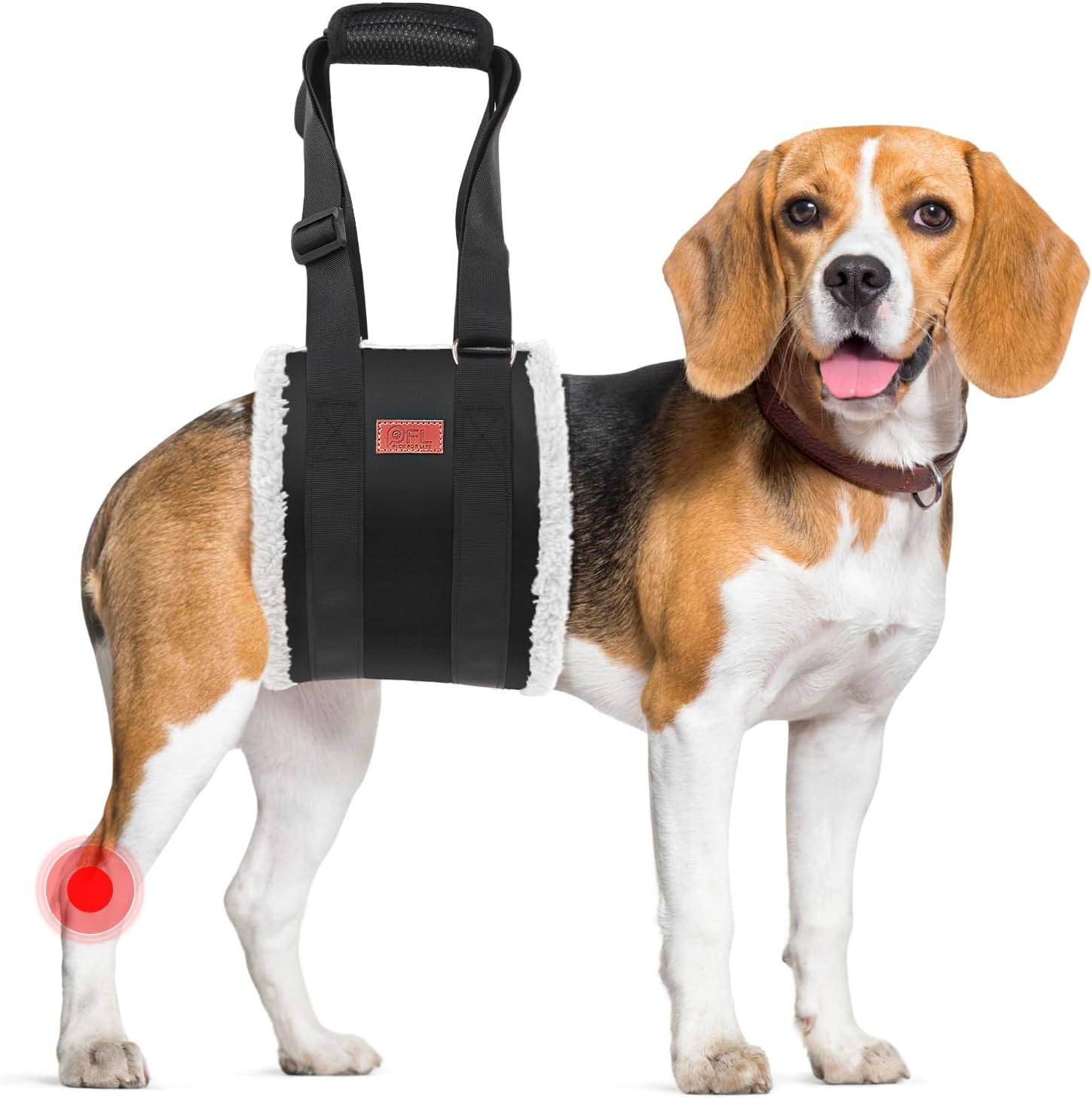 Adjustable Harness Dog Sling 