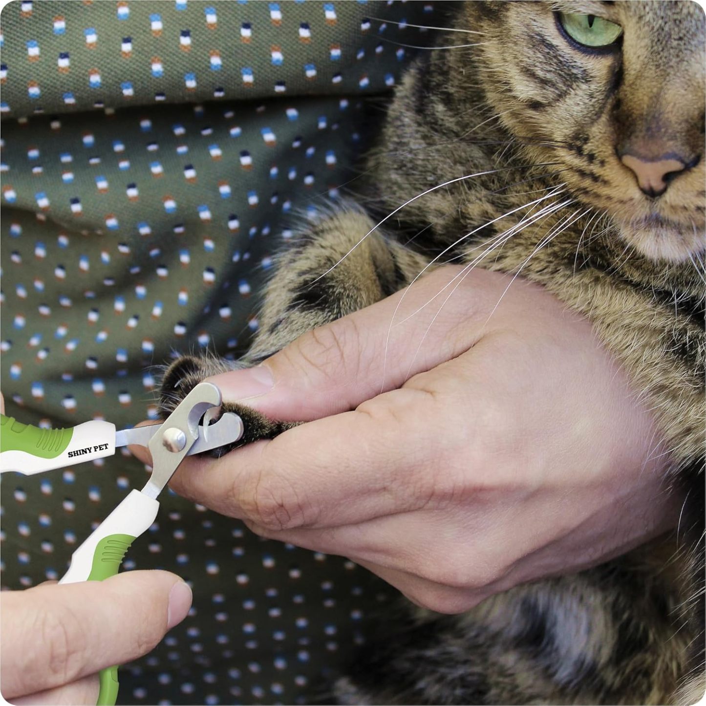 Pet Nail Clippers
