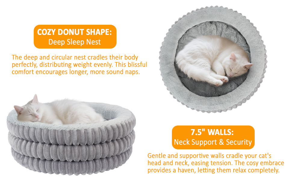 beds for cats
