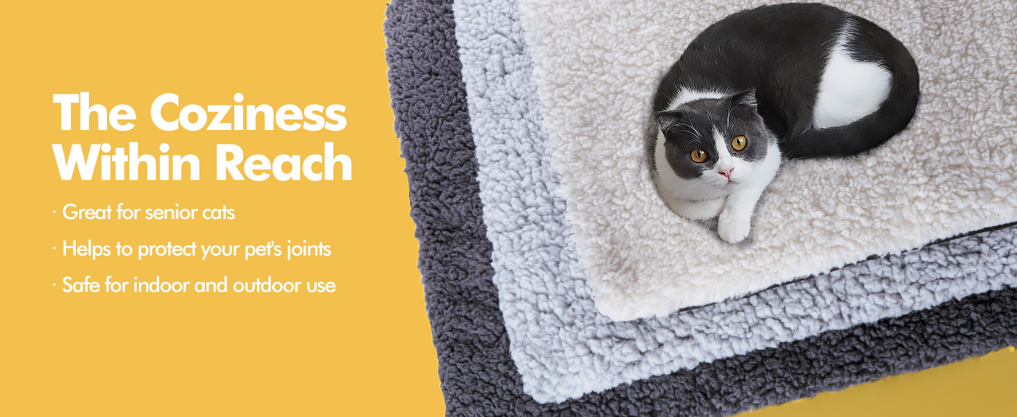 The Coziness Within Reach