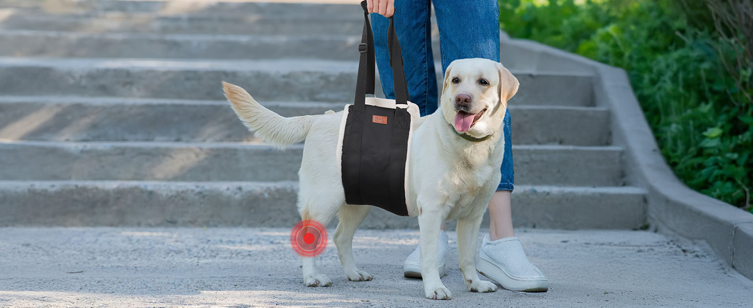 PICK FOR LIFE Dog Lift Harness dog sling for large dogs hind leg support