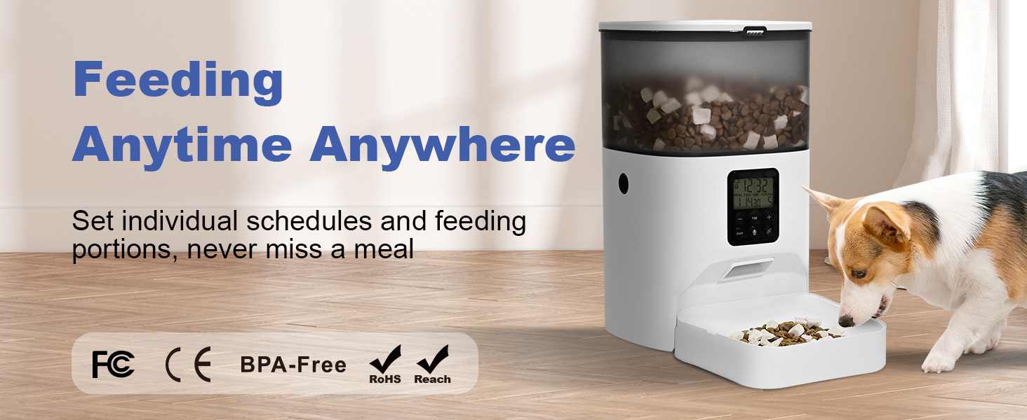 Automatic cat feeder