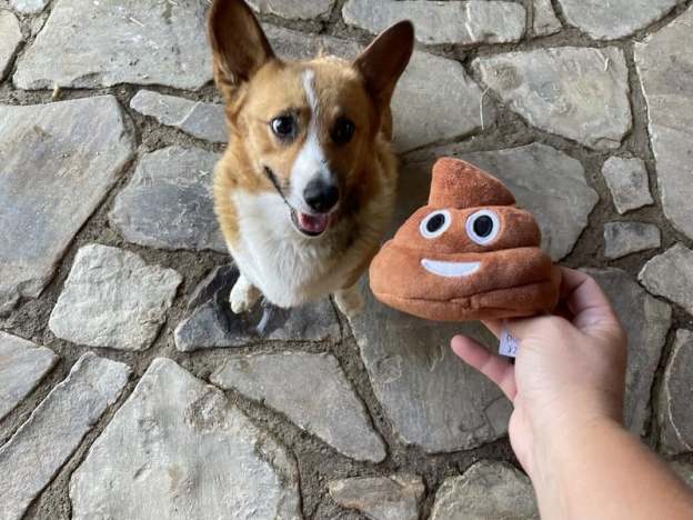 Funny Talking Poop Plush Toy – Makes Fart Sounds!
