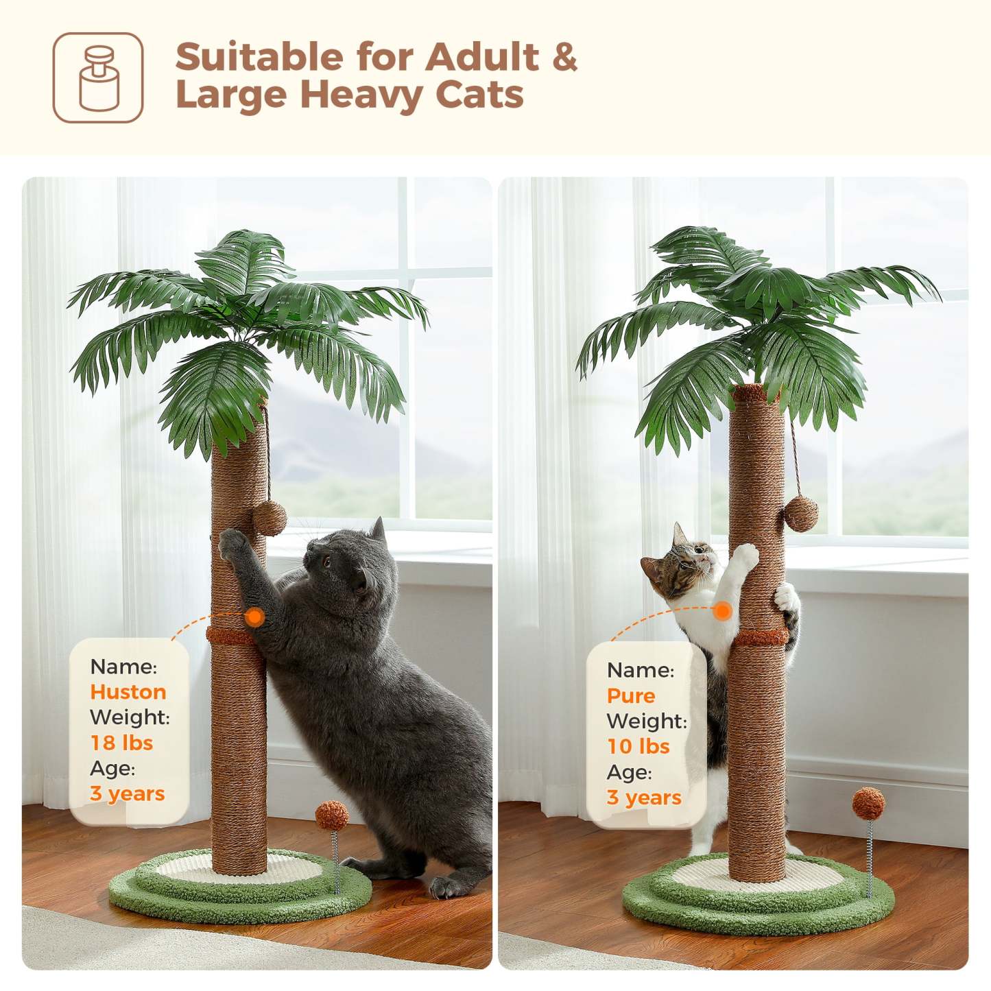 34" Coconut Palm Cat Scratching Post with Interactive Balls for Indoor Cats, Brown