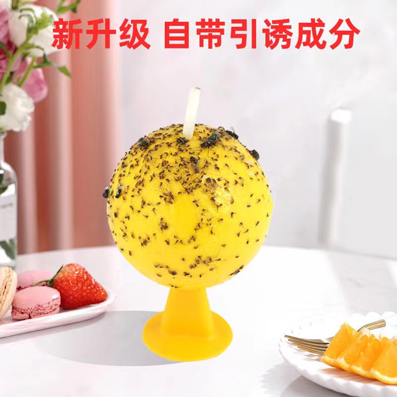 Bezpieczna i skuteczna pułapka na owady