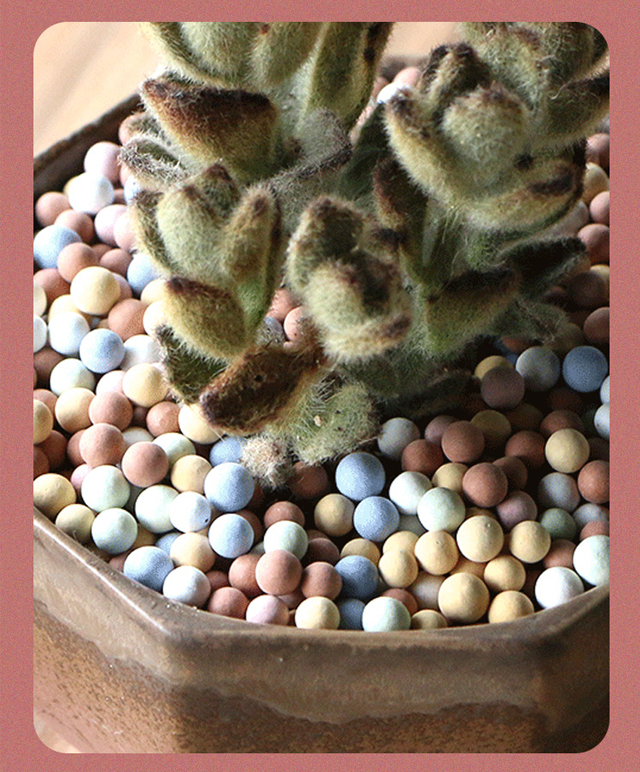 Ceramiczna kula Kolorowy keramzyt