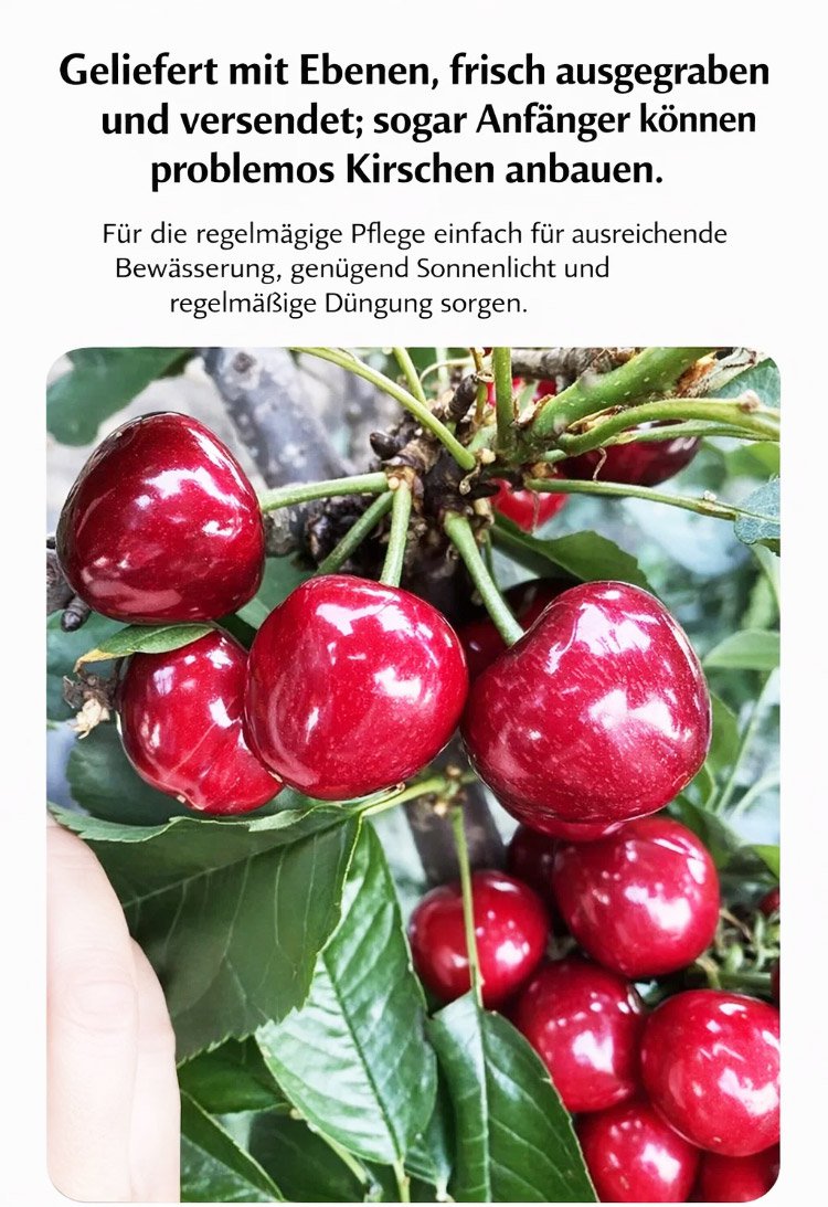 1_22.jpg