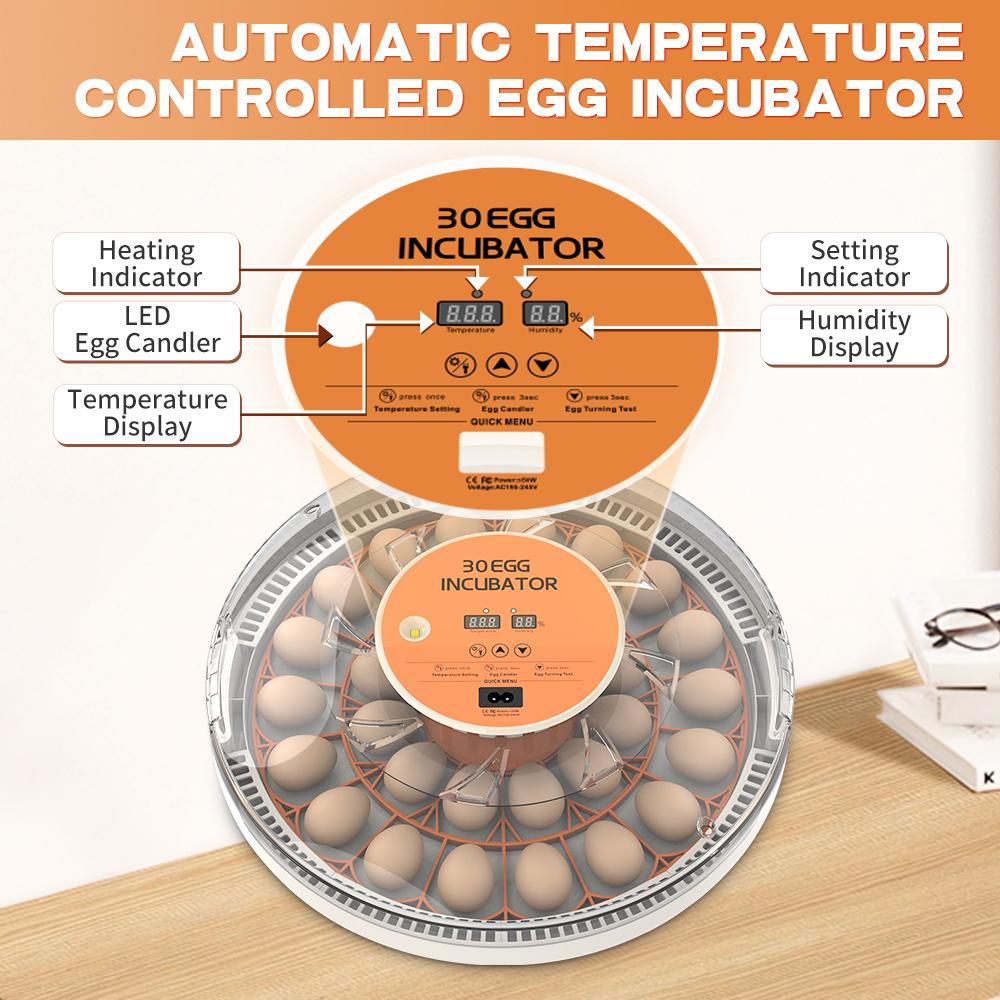 Incubadora de 30 huevos con volteador automático, pantalla digital de temperatura y humedad, y ovoscopio integrado para la incubación de pollos, codornices y patos.