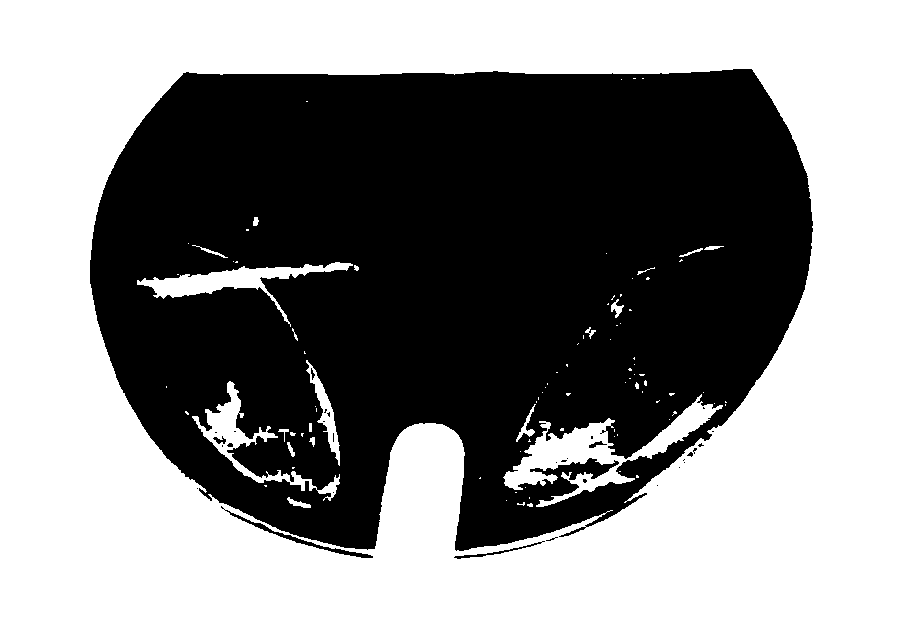 Latex Underpants ( PL135-429 )