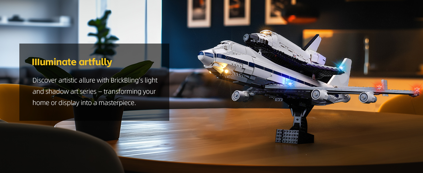 Shuttle Carrier Aircraft 