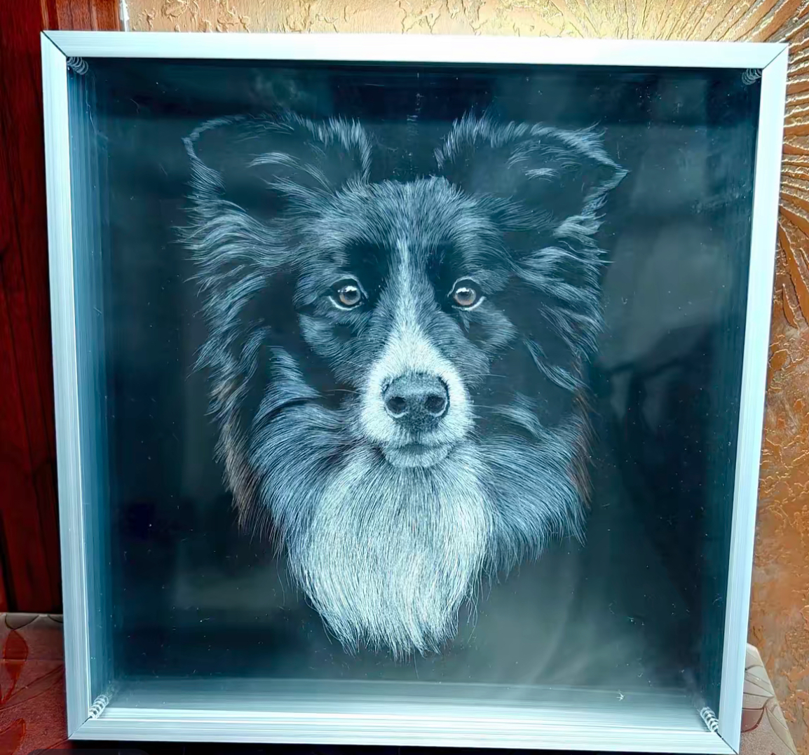 Animal 3D scratch painting