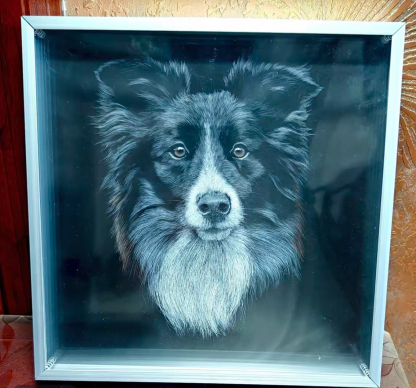 Animal 3D scratch painting