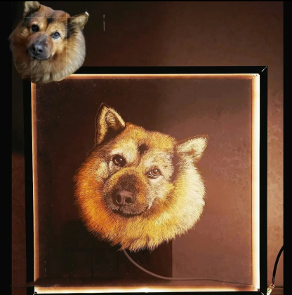 Animal 3D scratch painting