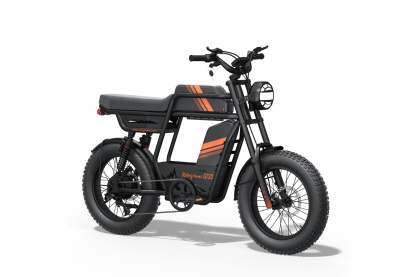 GT33 All-Terrain Cafe Racer Cargo Electric Bike