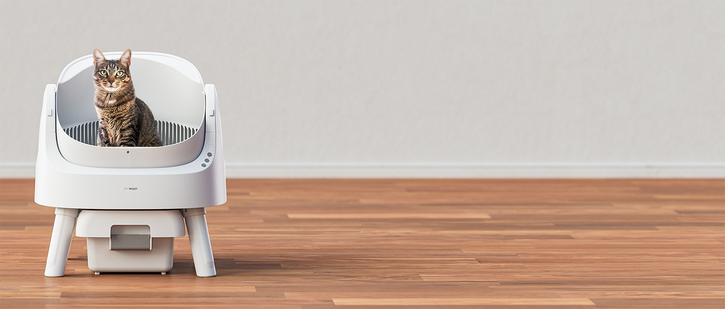 self cleaing litter box